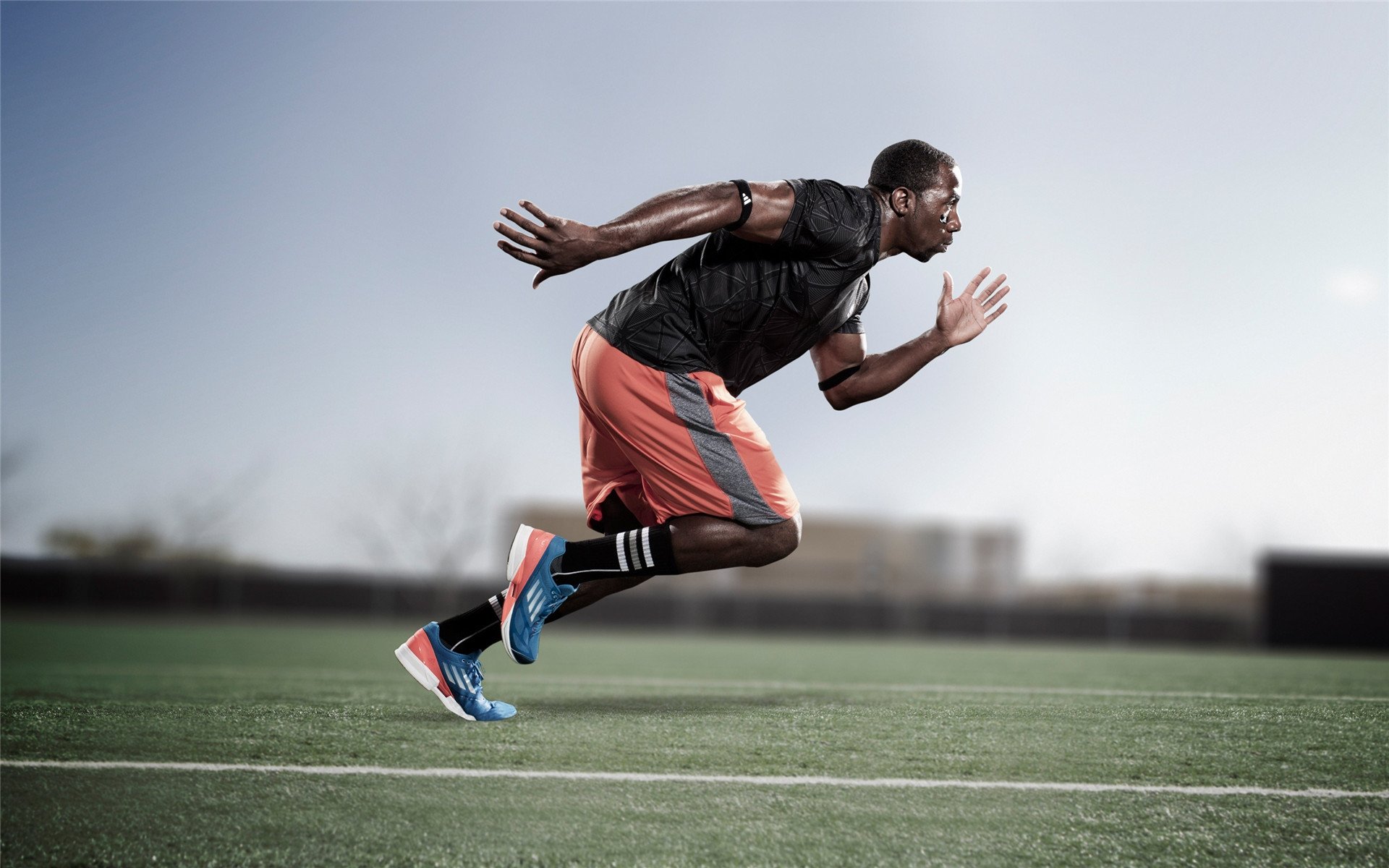 文班亚马惊天爆发撼联盟,广厦力克猛龙展露冠军相